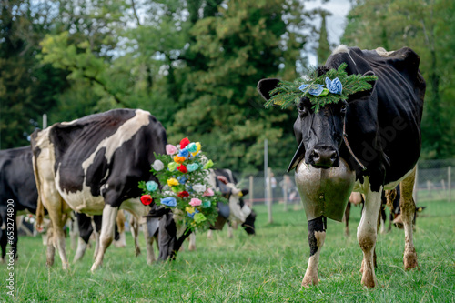 Swiss cows decorated with flowers and cowbell. Desalpes ceremony in Switzerland. photo