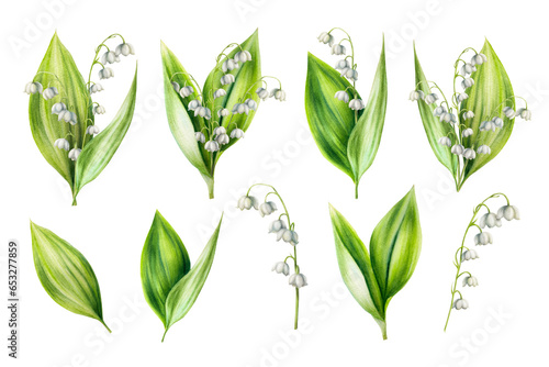 Watercolor set of bouquets of lilies of the valley flowers isolated on white background. Spring hand painted kit of illustration. For designers, wedding, decoration, postcards, wrapping paper