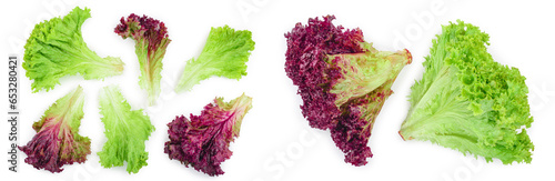 fresh red coral and green salad or lettuce isolated on the white background. Top view. Flat lay