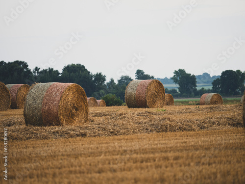 Baloty siana na polu z wiatrakami w tle. Hay bales in a field with windmills in the background.