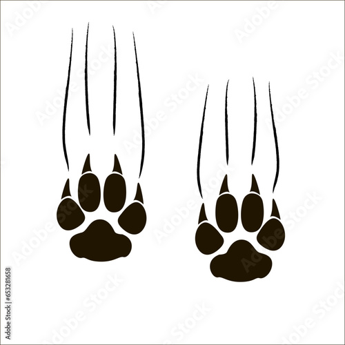 Footprints of a big cat. Panther or tiger traces. Vector