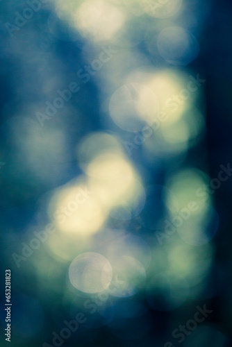 Abstract flare effects with big round orbs in a dense forest