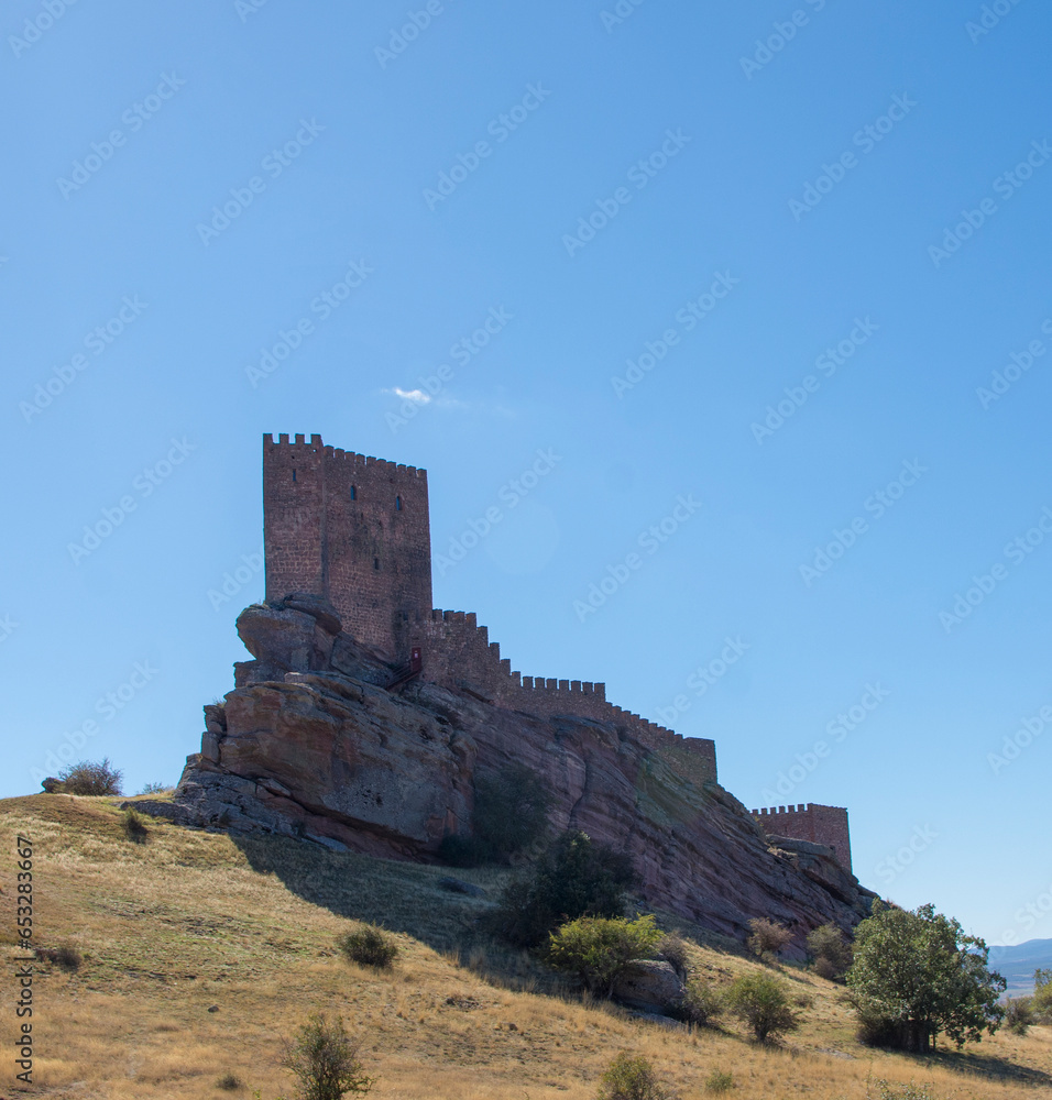 Panoramic view to old castle on a field 