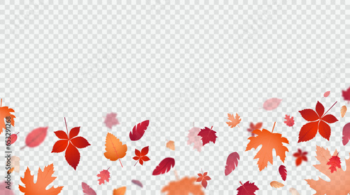 Vector design template with autumn leaves. Bright colorful foliage with blur effect isolated on transparent backdrop