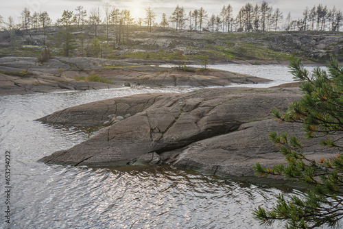 Autumn landscape. Stone coast of the bay, yellow tree, grass and stones on the shore. Pine forest on a stone shore. Overcast sky.