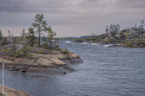 Autumn landscape. Stone coast of the bay, yellow tree, grass and stones on the shore. Pine forest on a stone shore. Overcast sky.