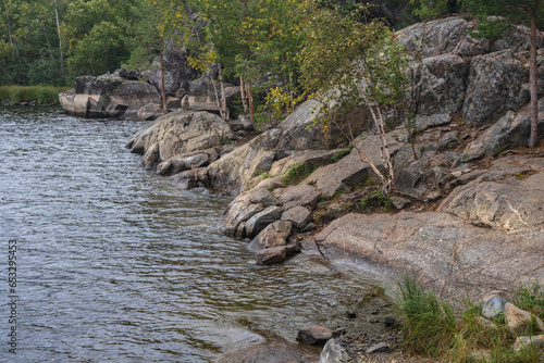 Autumn landscape. Stone coast of the bay, yellow tree, grass and stones on the shore. Pine forest on a stone shore. Overcast sky.