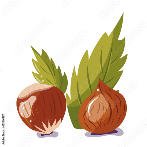 Noisette. Image, illustration vectorielle. Fruit de saison