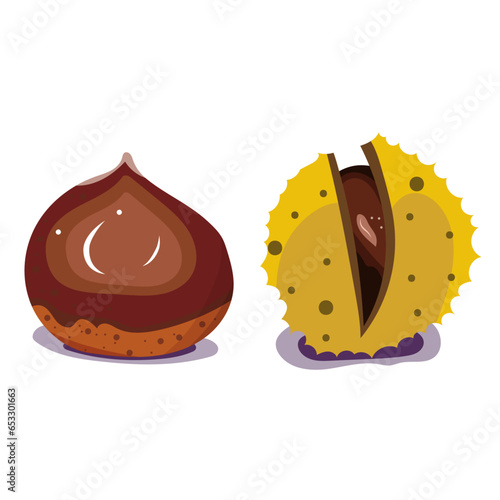 Chataigne, marron. Illustration vectorielle. Fruit de saison