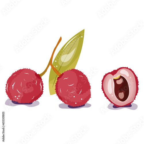 Litchi, image vectorielle. fruit de saison
