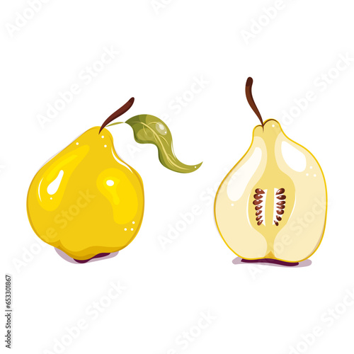 Coing, fruit, vector. Immage vectorielle. Fruit de saison