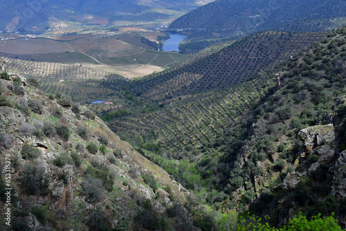 Douro valley, Portugal - march 25 2022 : the picturesque river near Pinhao photo