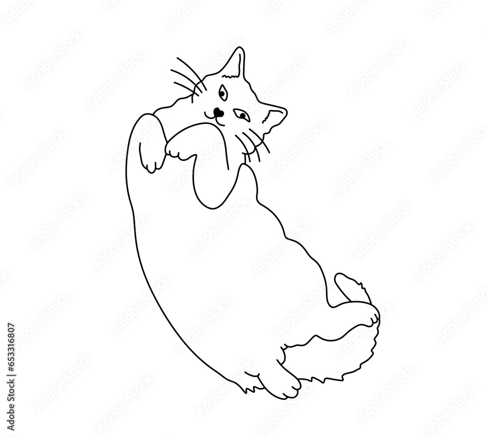 Vector isolated one single cute cartoon fat cat lying on back in funny