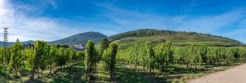 Rodern, France - 09 04 2023: Alsatian Vineyard. Panoramic view of the Haut-Koenigsbourg castle, forests and vineyard fields all around and Saint-Hypolyte village.