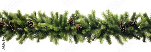 Christmas garland of evergreen tree pine and  holly berries and cones on isolated white background