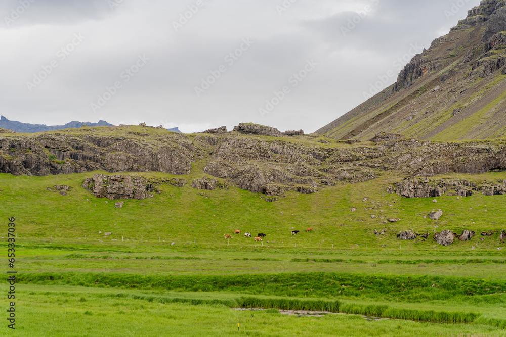 Picturesque landscape in Iceland. Overall plan.