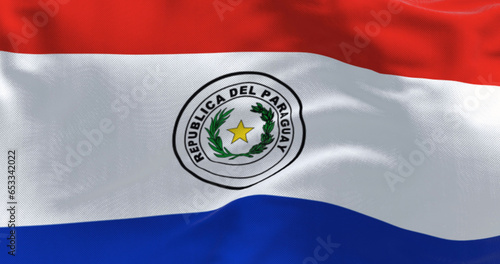 Close up of Paraguay flag waving Free Download Close up of Paraguay flag waving - GFXLoad