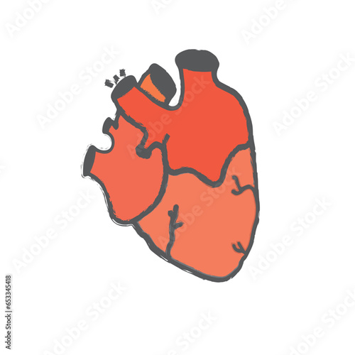 realistic vector isolated human heart.Human Heart Isolated. Human Red Heart Isolated White Background. 
