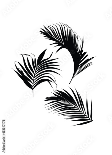 set of black and white feathers