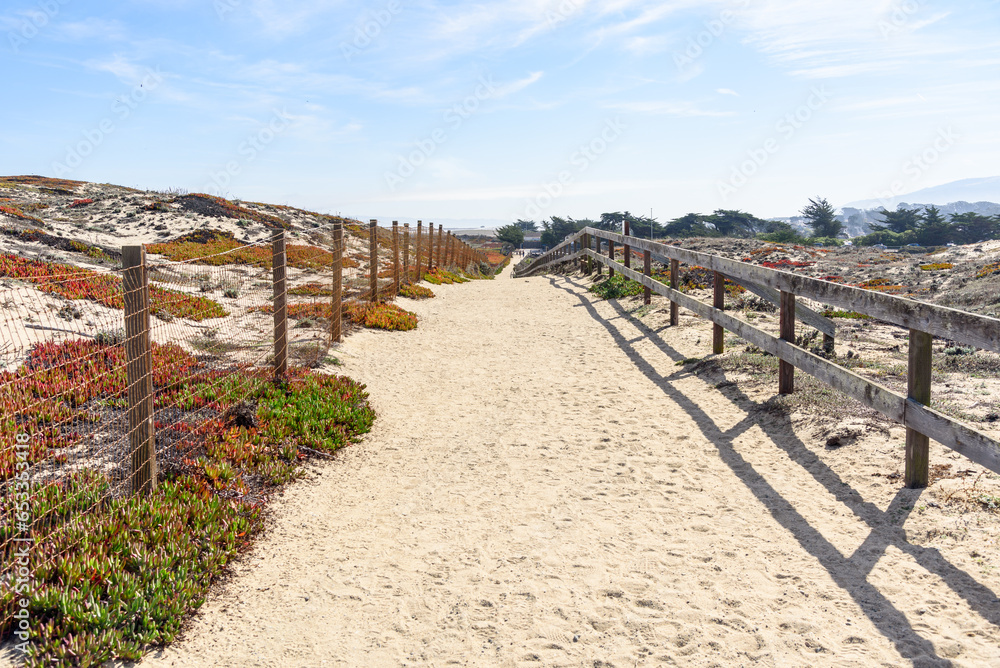 Fenced path through sand dunes on the coast of California on a sunny autumn day