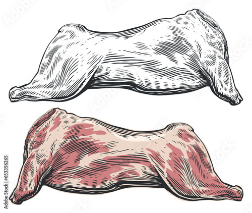 Whole raw meat carcass. Vector illustration engraving style