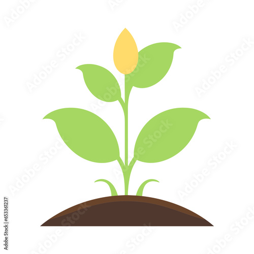green sprout