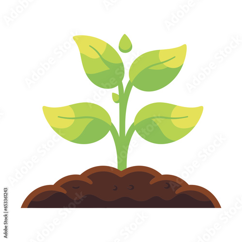 green sprout