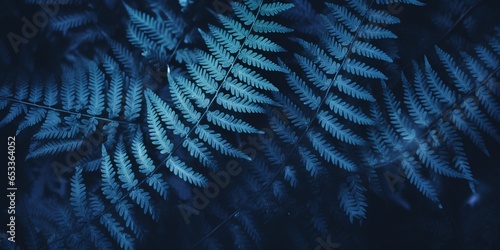 Beautiful dark blue fern leaf in the nature in autumn season  toned natural background.