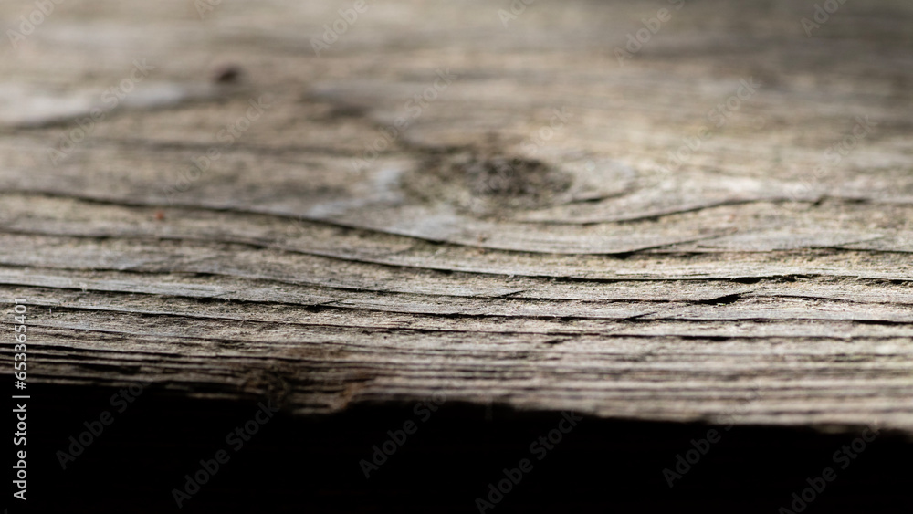 Fototapeta premium Hintergrund produktplatzierung natur baum holz bokeh wiese wald grün braun holzstück hintergründe platzierung untergrund naturell