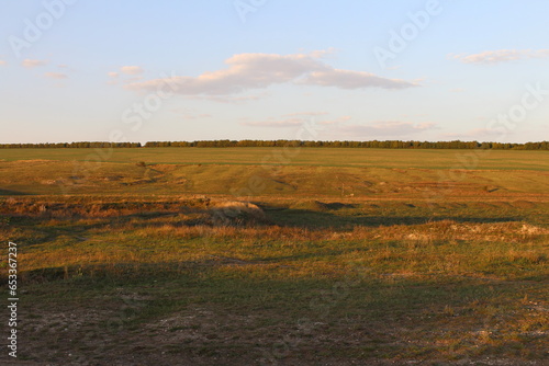 Fototapeta Naklejka Na Ścianę i Meble -  A field of grass