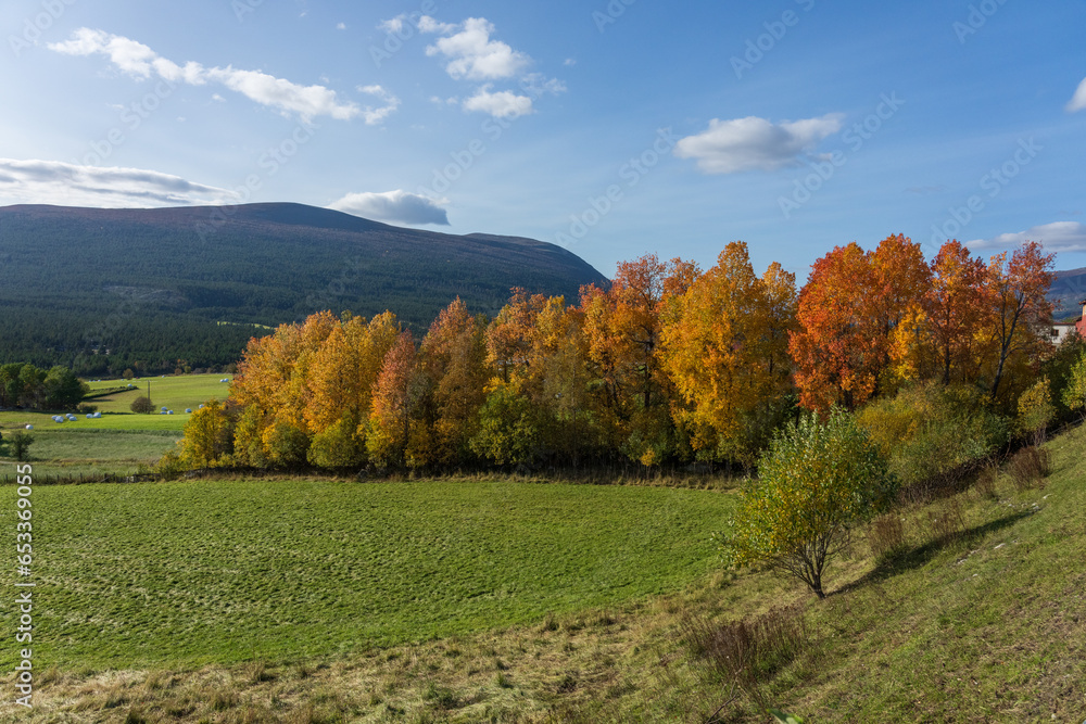 Autumn at Lesja, Norway