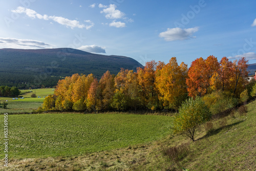 Fototapeta Naklejka Na Ścianę i Meble -  Autumn at Lesja, Norway