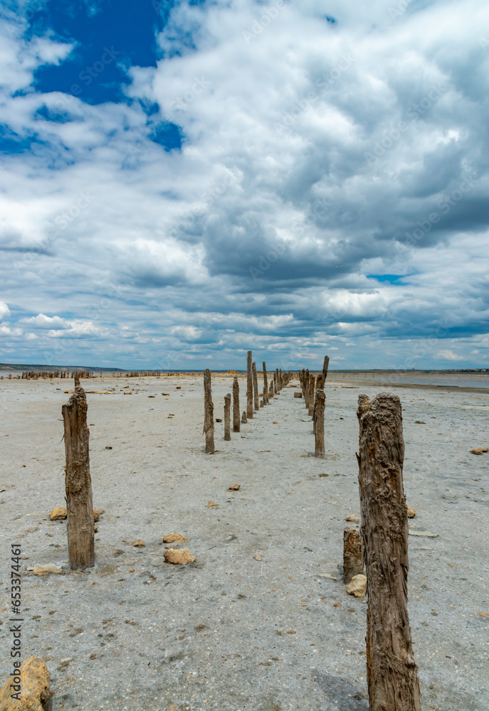 Salt Lake. Self-settling salt on wooden logs. Hypersaline water in a drying lake, an environmental problem. Ukraine Salt Lake. Self-settling salt on wooden logs. Hypersaline water in a drying lake, an environmental problem. Ukraine