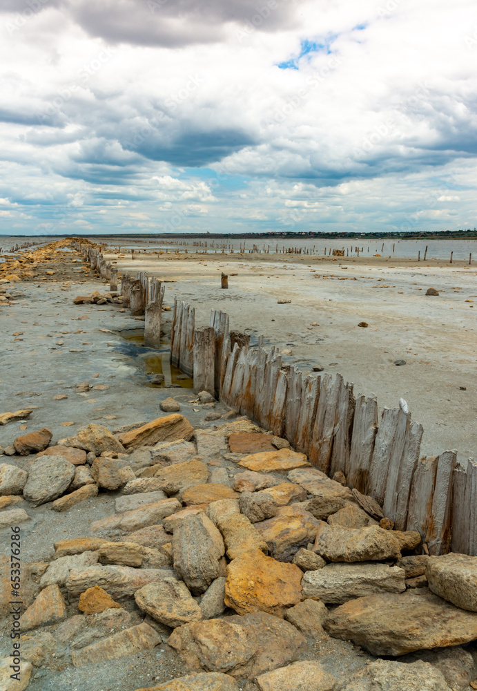 Salt Lake. Self-settling salt on wooden logs. Hypersaline water in a drying lake, an environmental problem. Ukraine