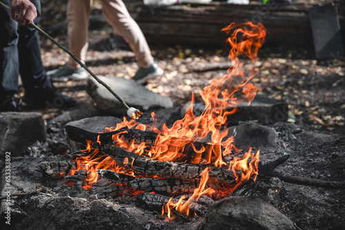 Marshmallows on a stick are held over a fire