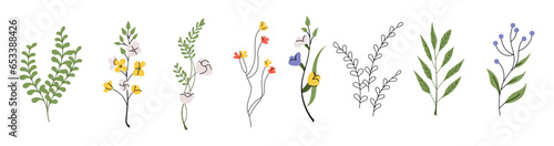 Flower stems set. Spring blooms, field and meadow plants. Gentle floral botanical elements. Delicate forget-me-nots, freesia, pansy. Flat graphic vector illustrations isolated on white background
