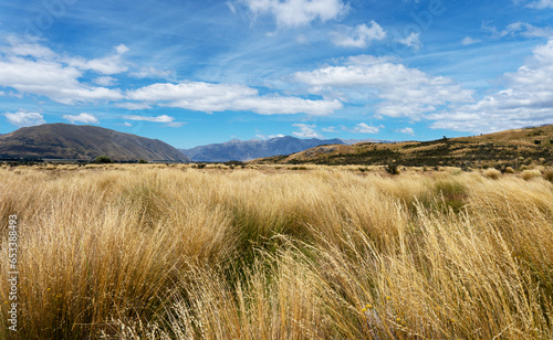 Tussock Grass near Edoras  Mount Sunday   New Zealand  Lord of the Rings filming location