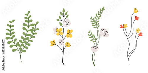 Flower stems set. Spring blooms, field and meadow plants. Gentle floral botanical elements. Delicate forget-me-nots, freesia, pansy. Flat graphic vector illustrations isolated on white background
