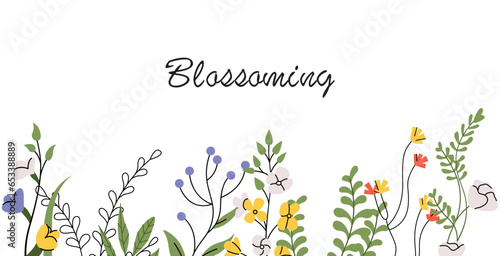 Fototapeta Naklejka Na Ścianę i Meble -  Floral banner design. Nature background with flower border decoration. Wildflowers, romantic card. Delicate gentle meadow field blooms, blossomed plants, branches, leaves. Flat vector illustration