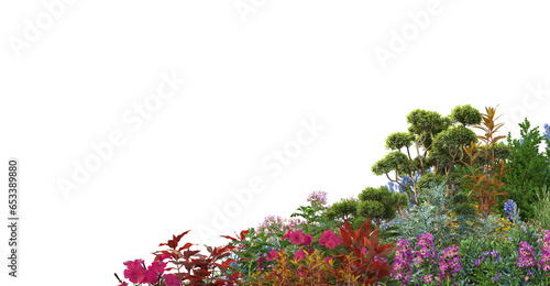 3D render Foreground flowers and multiple plants on transparent background
