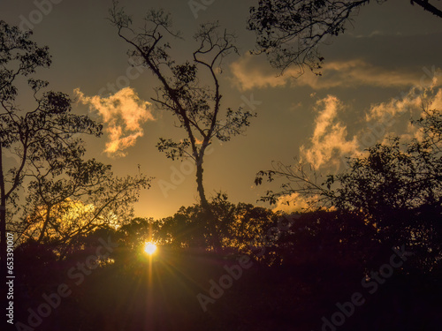 The dusk sun shows itself behind some old alder trees, over the Andean highlands of the eastern mountain range in central Colombia. photo