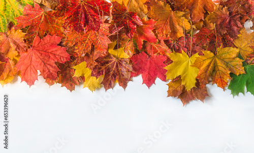 Frame of red, yellow and orange maple leaves on the white backgrround; Autumn holidays concept photo