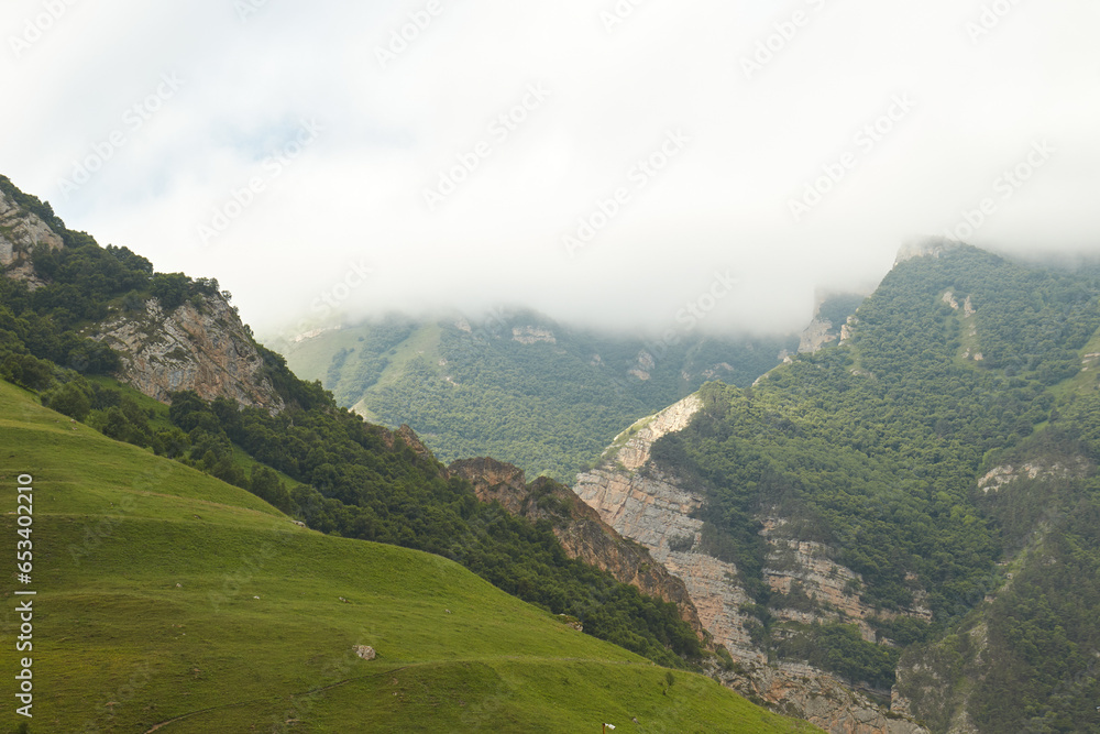 mountains in fog, rocks, green grass, mountain landscape