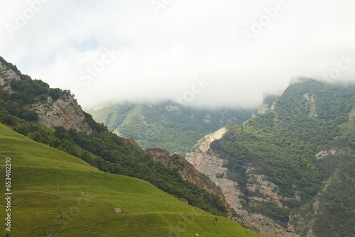 mountains in fog, rocks, green grass, mountain landscape