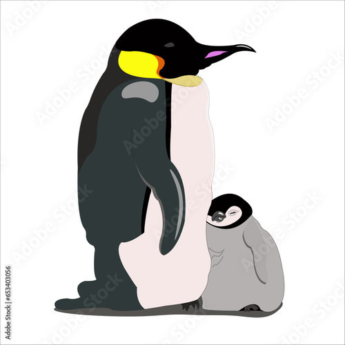 A family of penguins basks in the cold