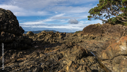 Doubtless Bay, Cable Bay, New Zealand, Rocky Beach photo