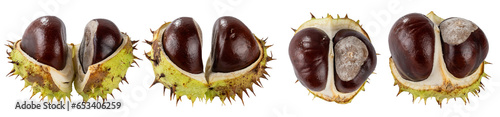 Collection of chestnuts  isolated on transparent background.