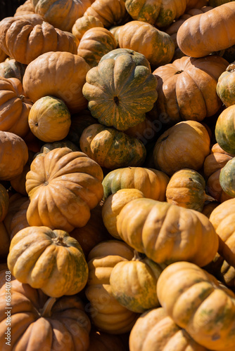 pumpkins at the autumn market on the street