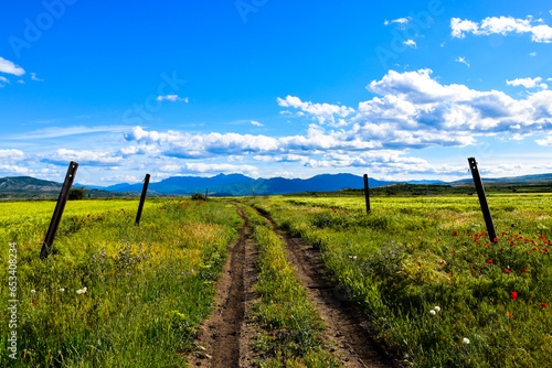 Road to the mountains on dirt road passing the meadows in springtime