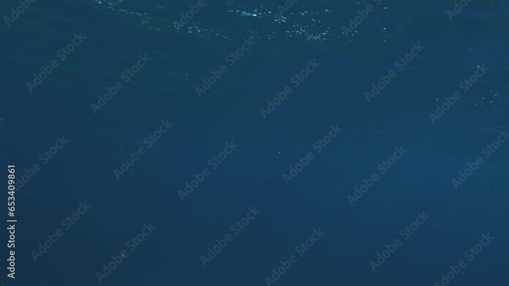 POV underwater shot, man swims underwater in Mediterranean sea floats to surface and looks around POV underwater shot, man swims underwater in Mediterranean sea floats to surface and looks around